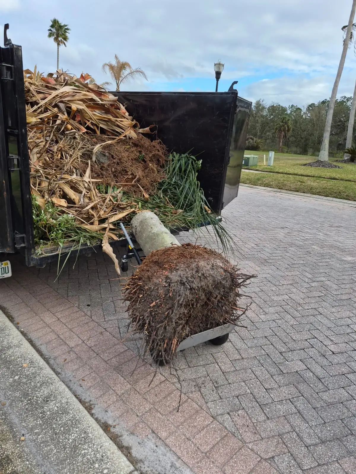 Tree-Removal-and-Trimming-1