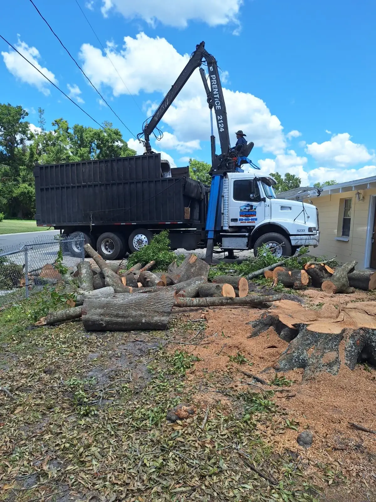 Tree-Removal-and-Trimming-13