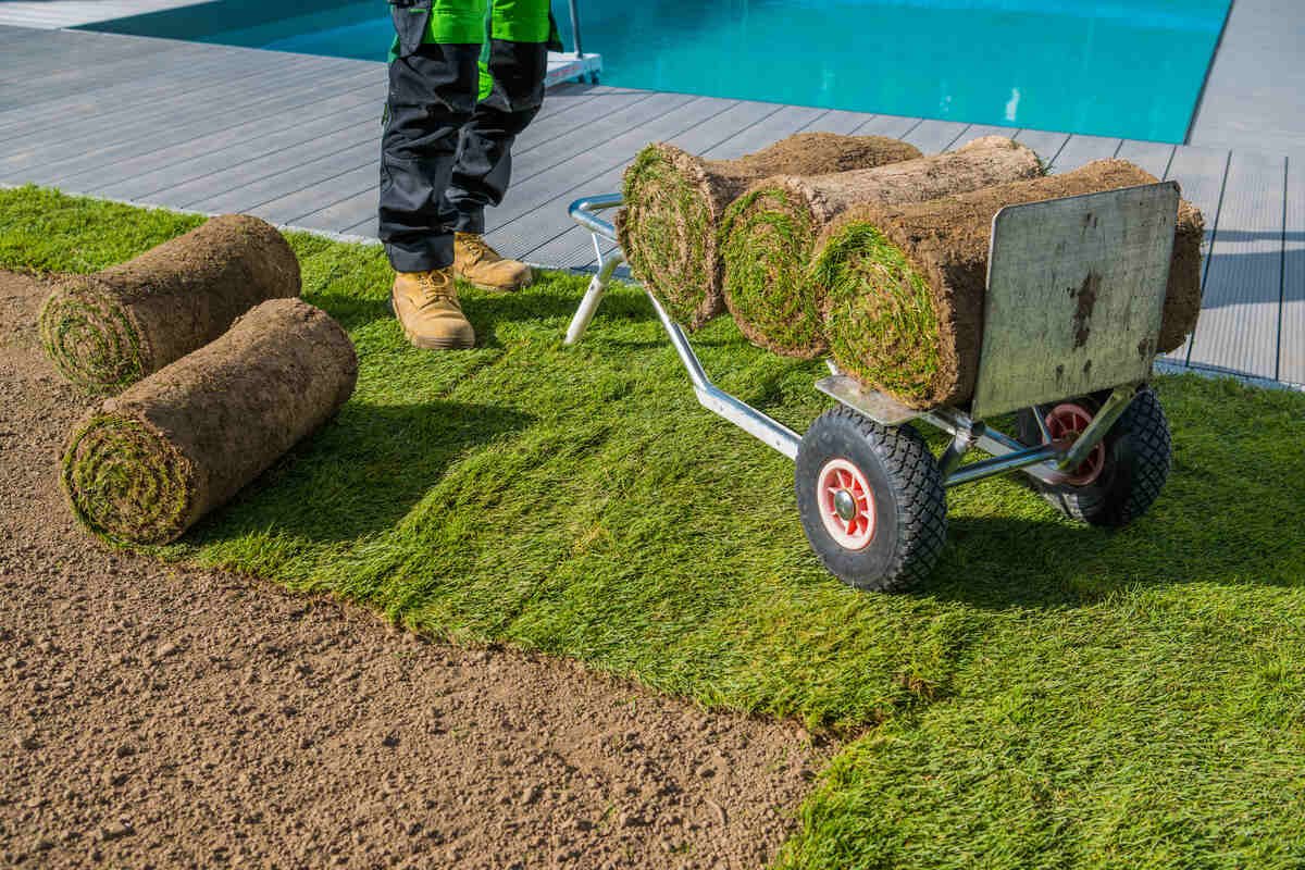 sod-on-truck