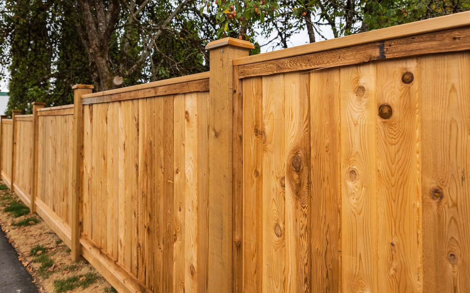 wood